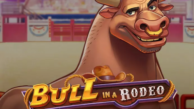 Bull in a Rodeo